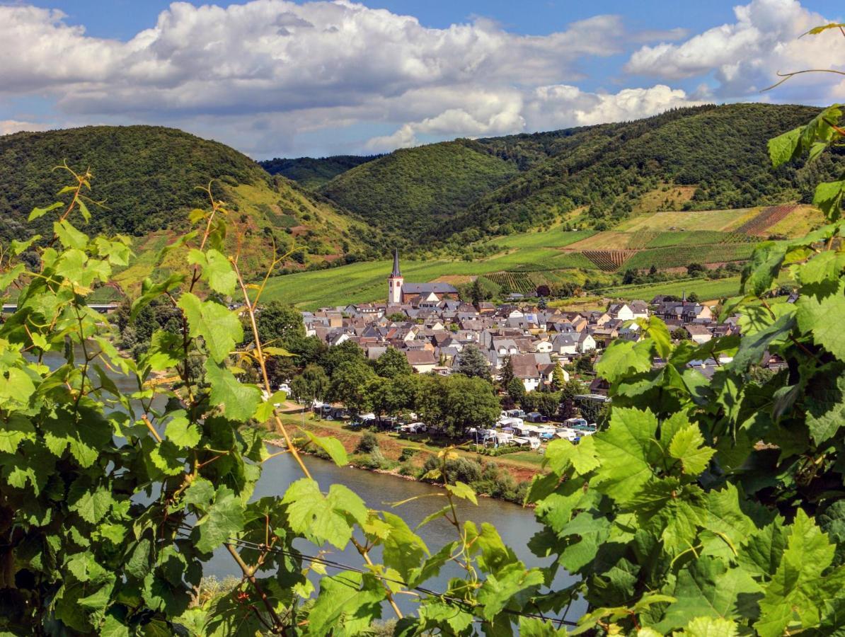 Moselhof Ferienwohnungen Bruttig-Fankel Buitenkant foto